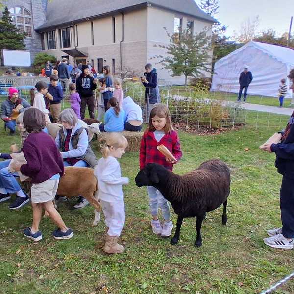 Sheep join moviegoers for Fall Festival kickoff