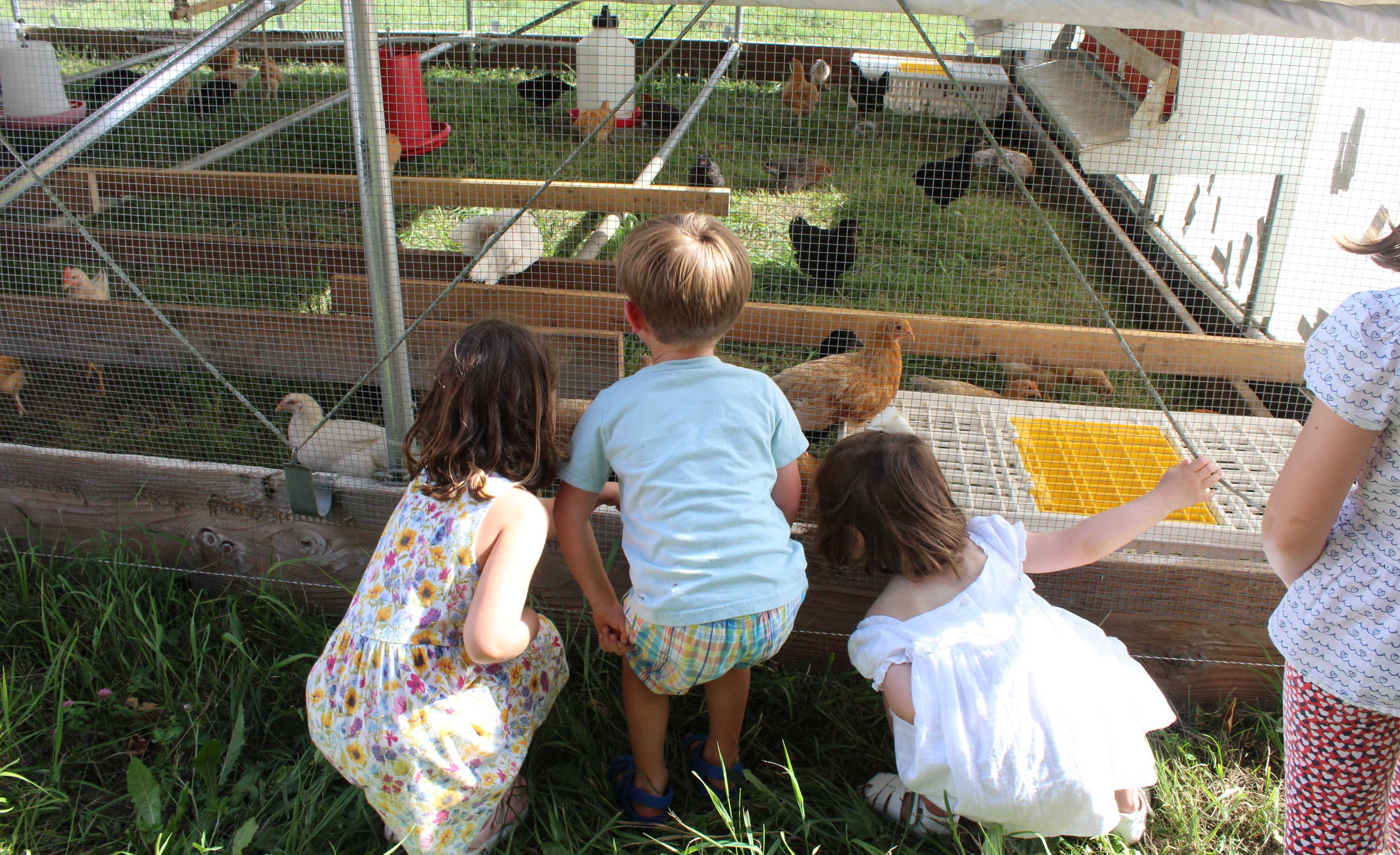 Children tour Hotchkiss’ Fairfield Farm, meet chickens