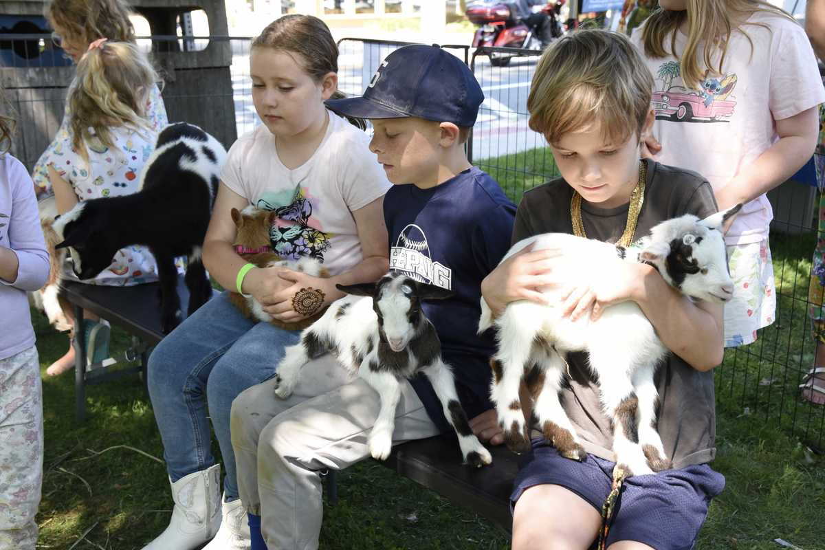 Kent Carnival brings games, goats and community fun