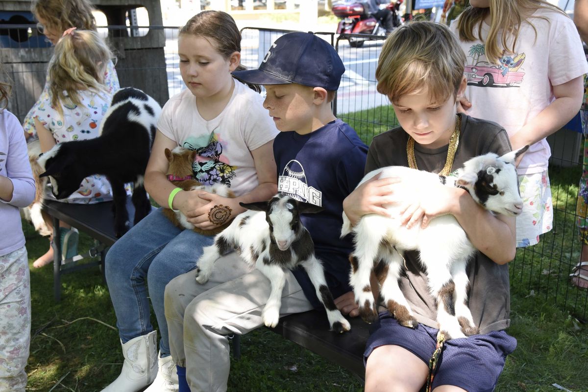 Kent Carnival brings games, goats and community fun