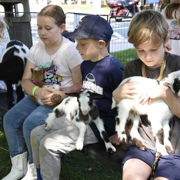 Kent Carnival brings games, goats and community fun