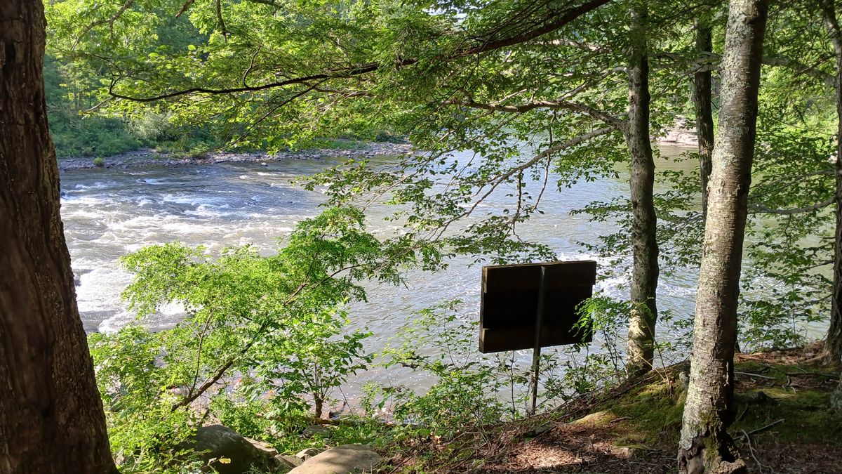 Reporting remote from the river