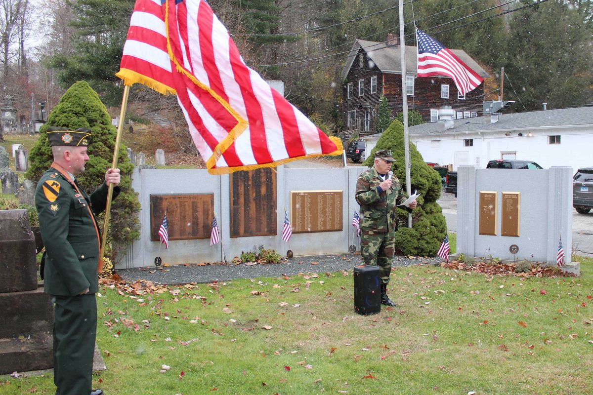 Salisbury honors veterans in snowy ceremony