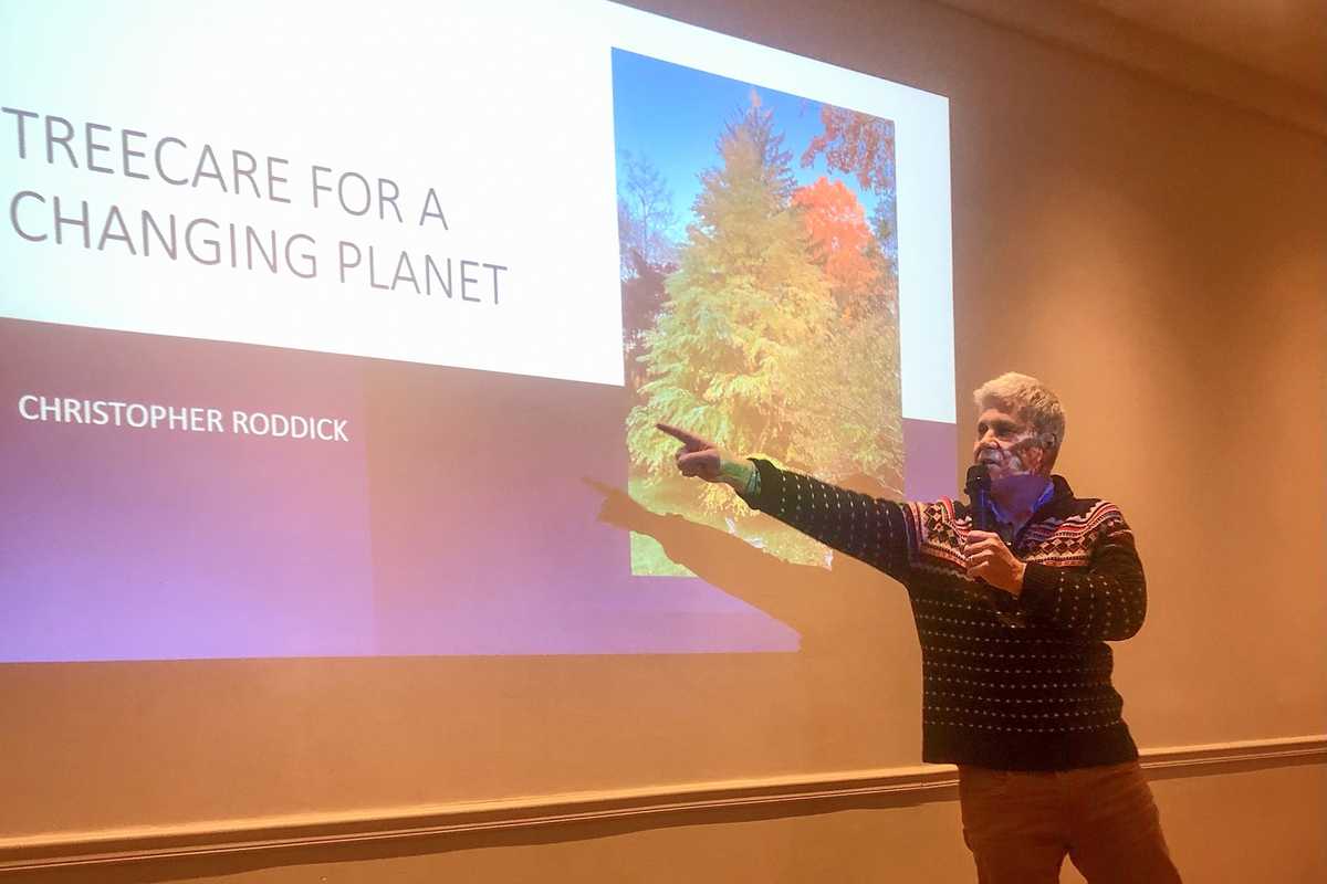 At The Bad Grass series: new science about old trees