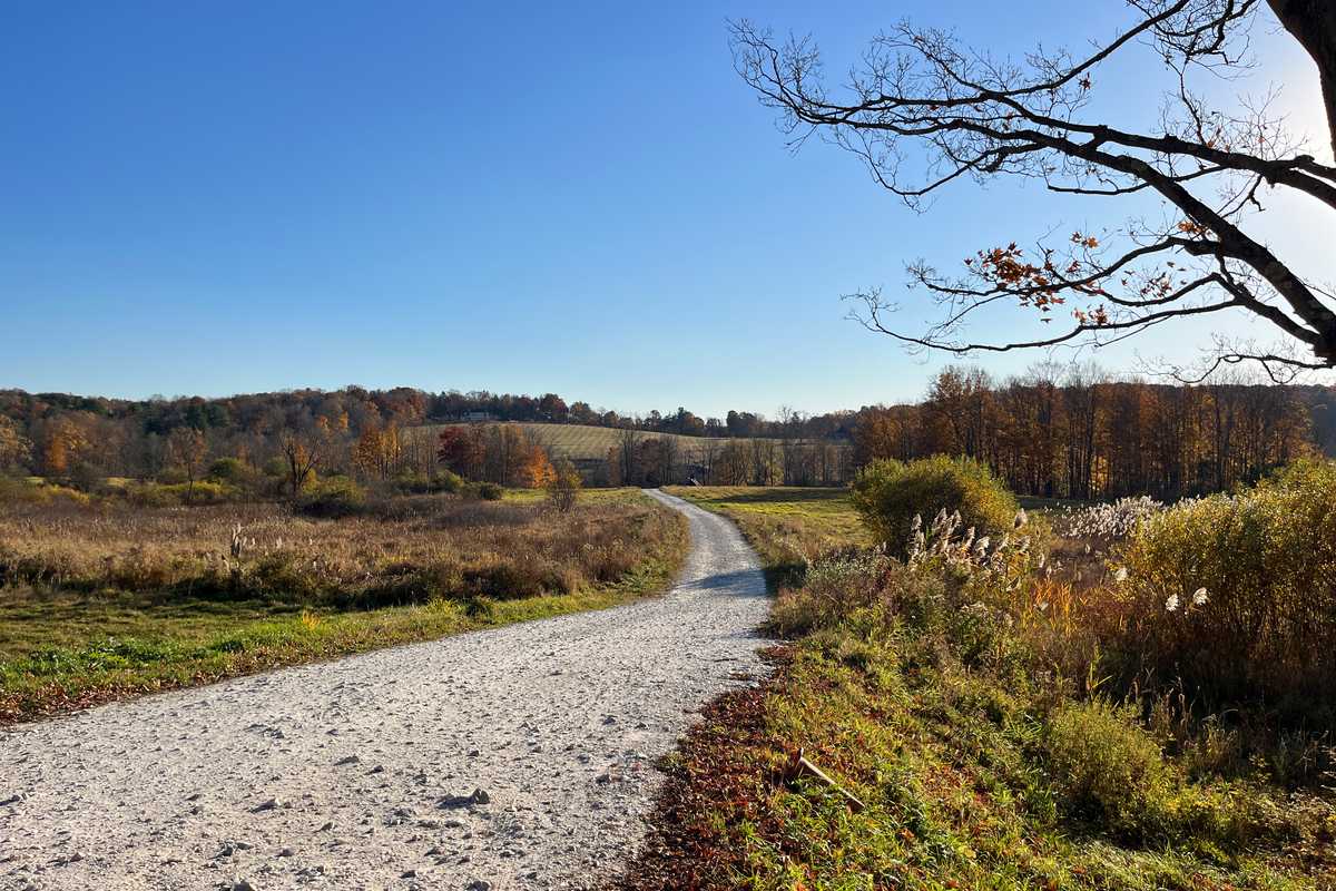 Dept. of Agriculture allows construction on second protected farm in Sharon