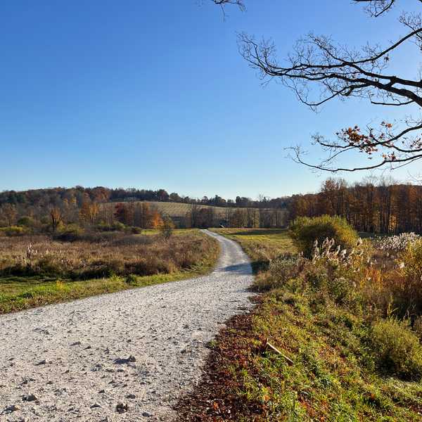 Dept. of Agriculture allows construction on second protected farm in Sharon