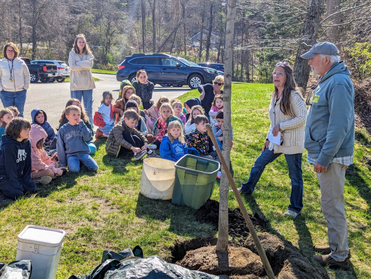 Planting new roots in honor of Arbor Day