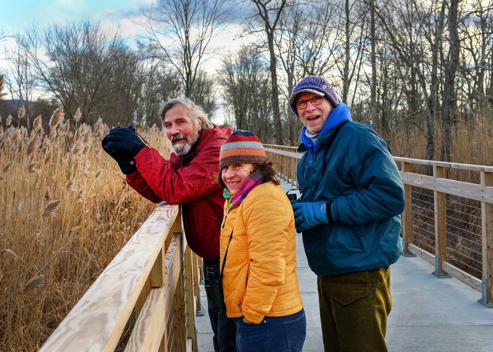 Bird count teams report soaring numbers, rare sightings