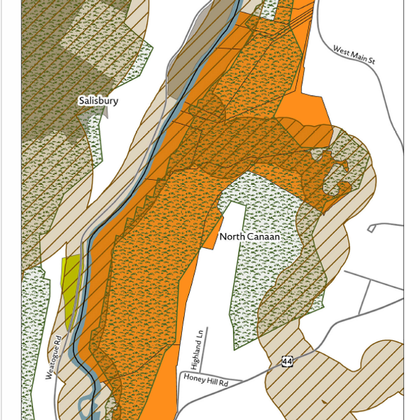 McEver nixes subdivision plan;
riverfront property now slated
to be conserved for public use