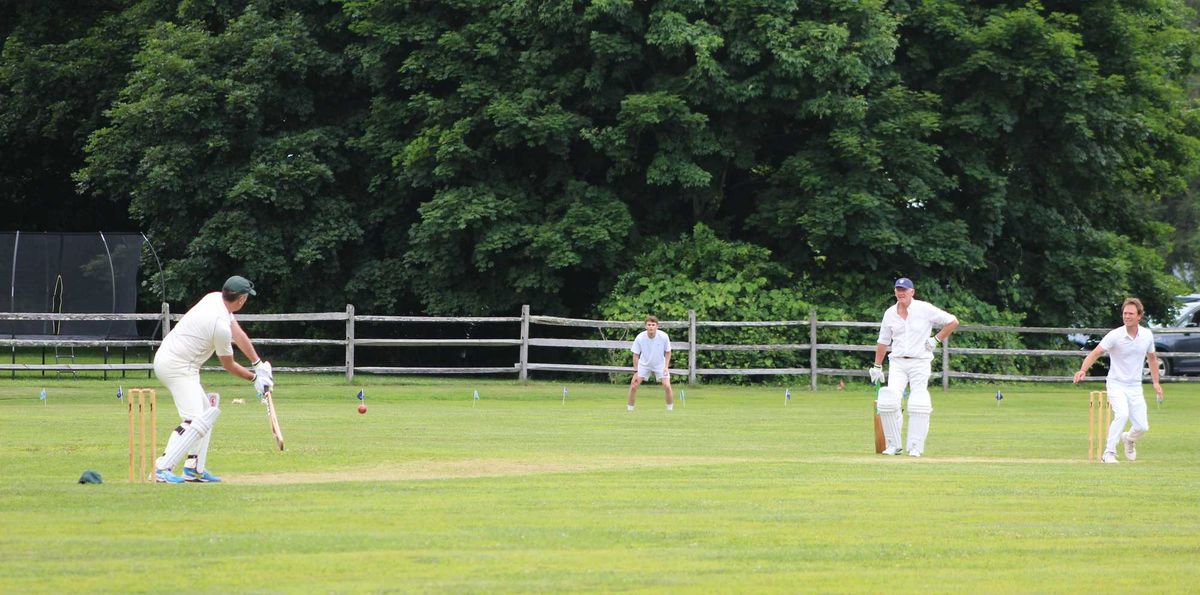 Annual cricket match raises funds for SVAS