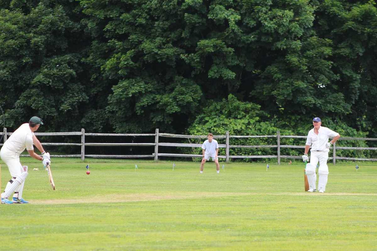 Annual cricket match raises funds for SVAS