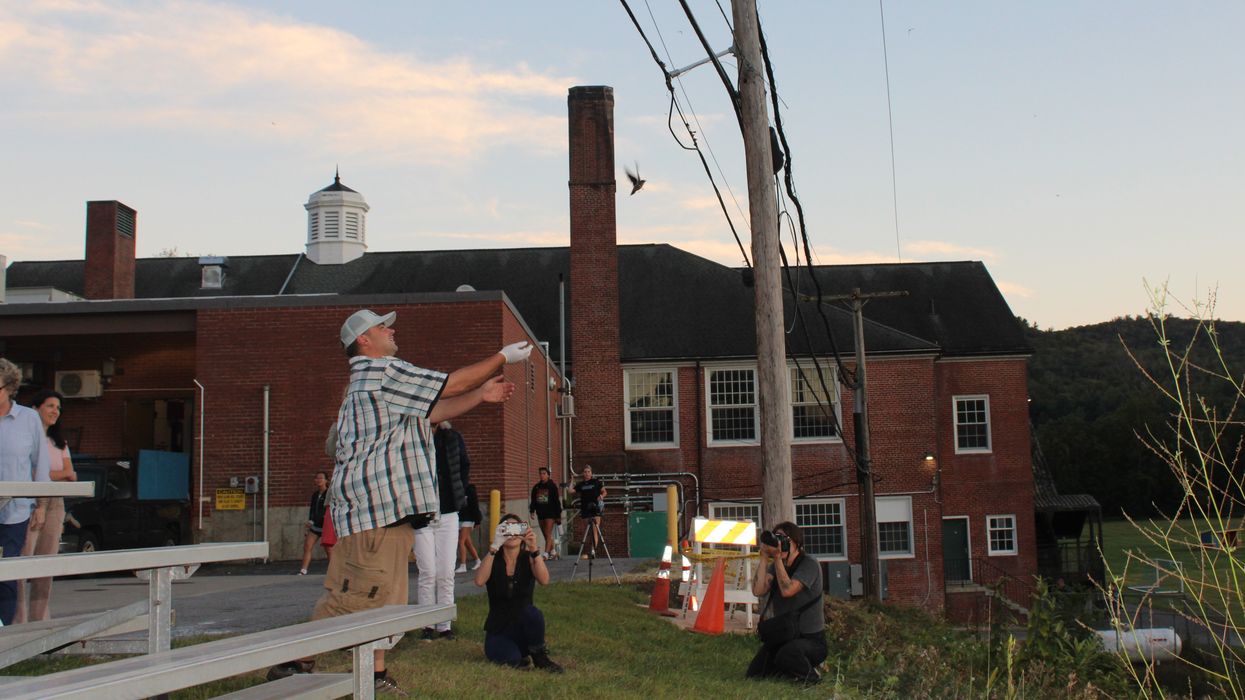 ‘Swift Night’ a hit at Housy