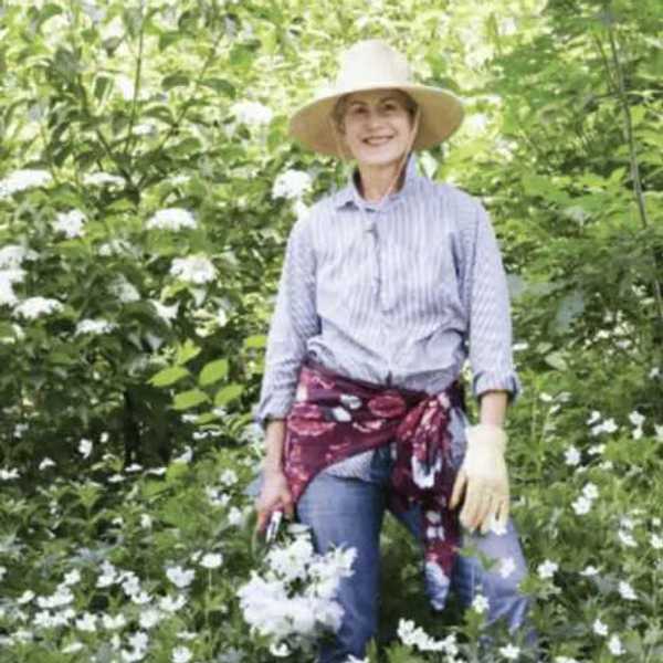 Ungardening: let nature take the lead