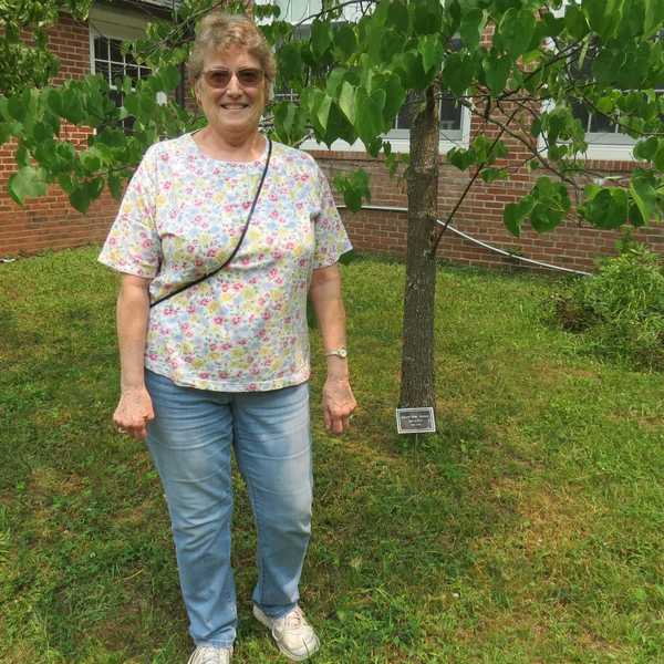 Former Region One secretary receives long-delayed tree plaque