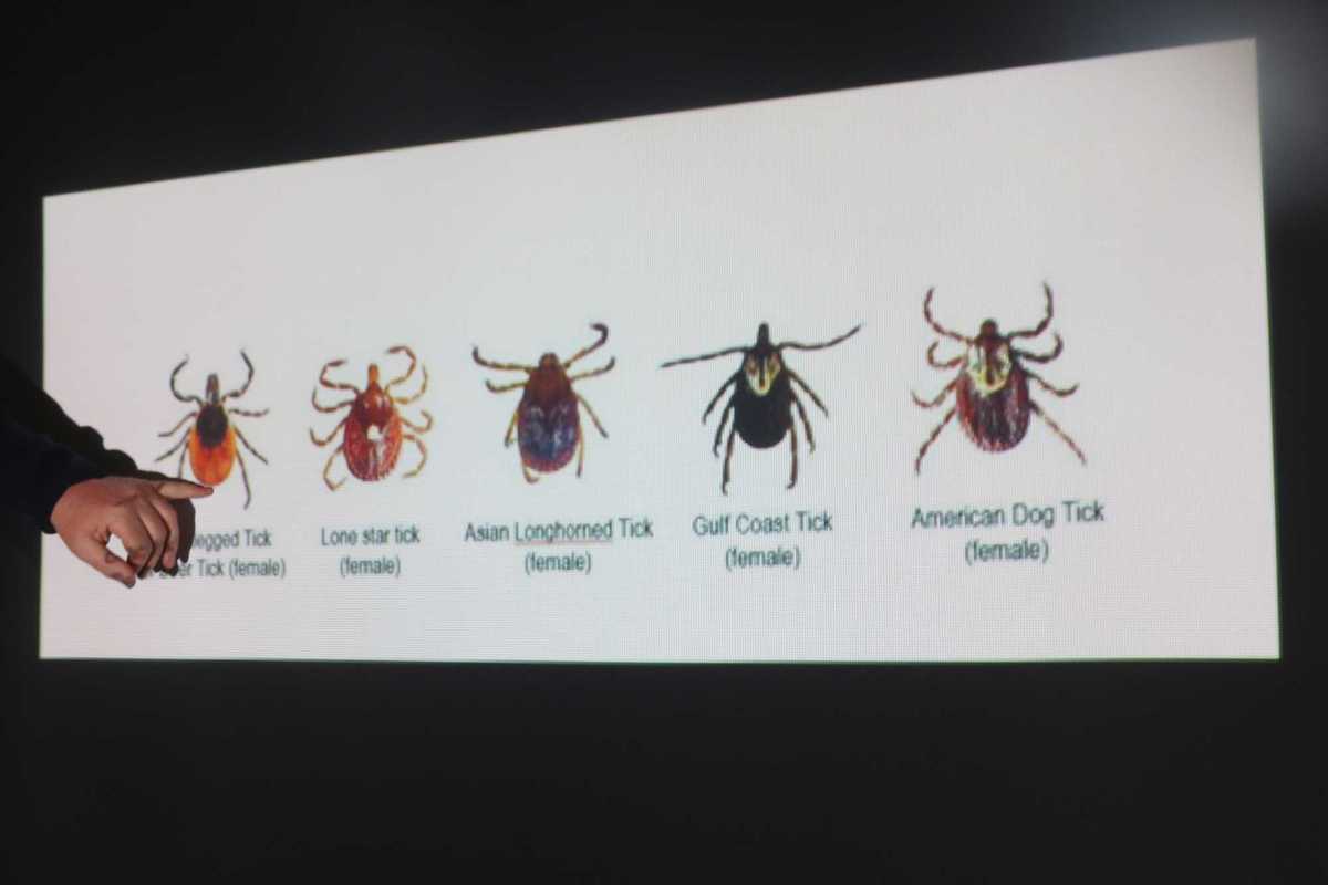 Tick threats rising across state as biodiversity declines