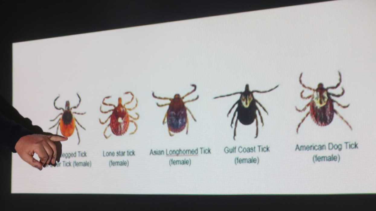 Tick threats rising across state as biodiversity declines