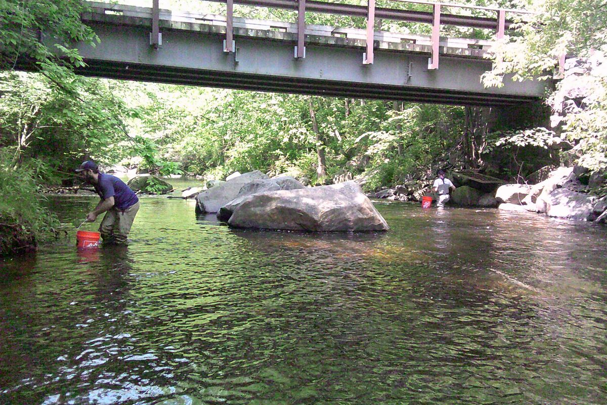 Bucket o' fry on the river