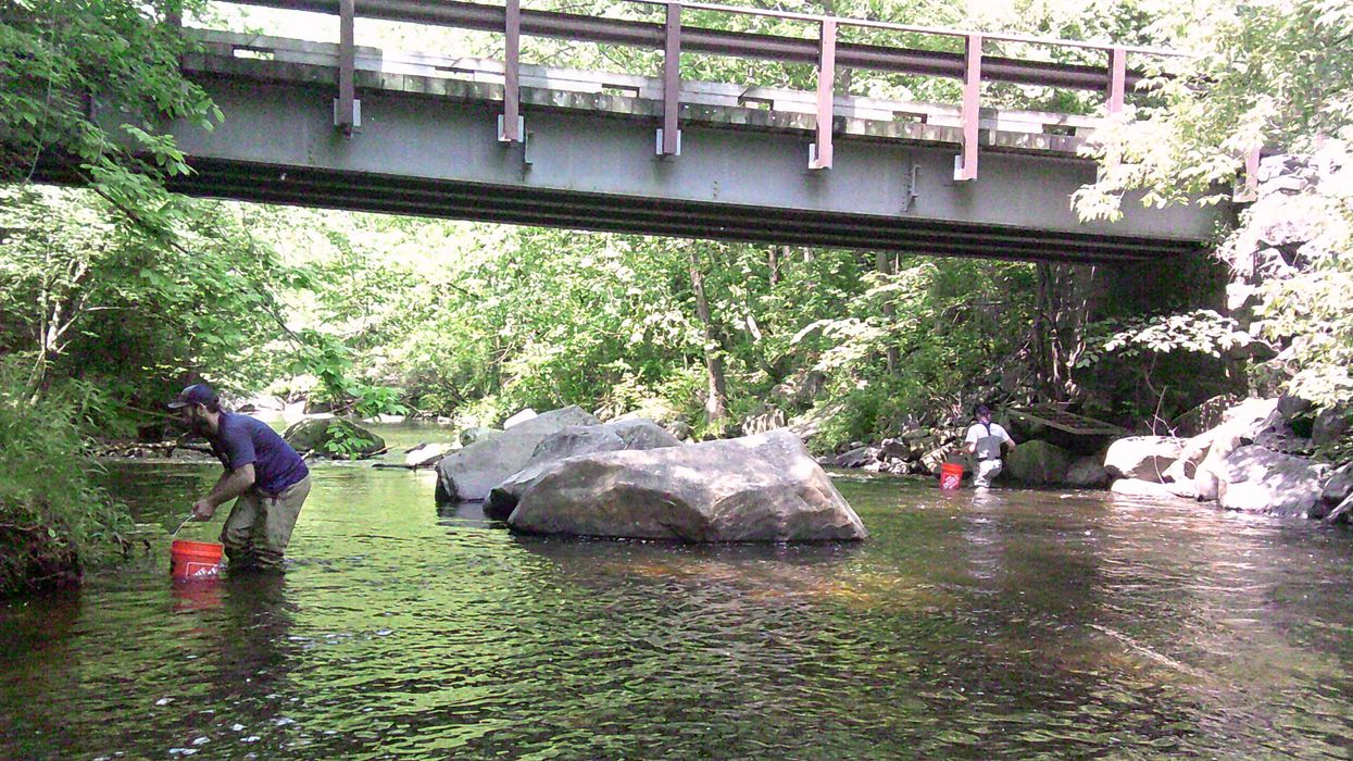Bucket o' fry on the river