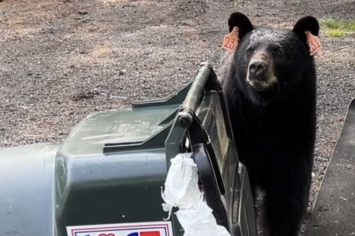 Regional leaders explore membership in waste management coalition