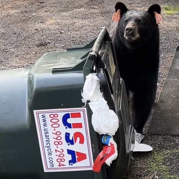 Regional leaders explore membership in waste management coalition