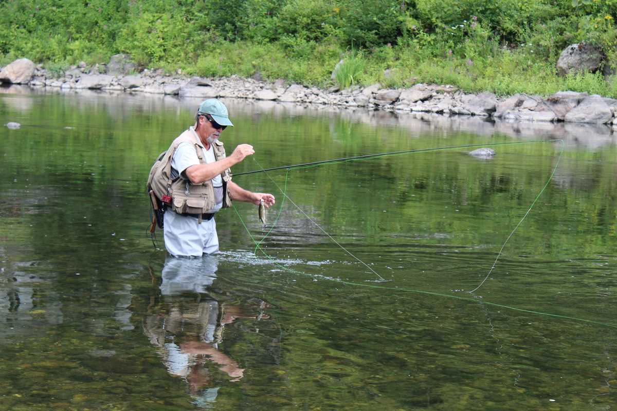 Tangled: Trout unlimited, bass optional