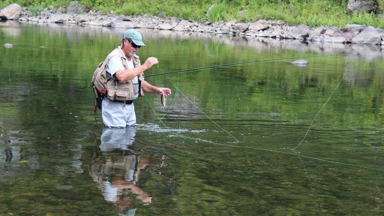 Tangled: Trout unlimited, bass optional