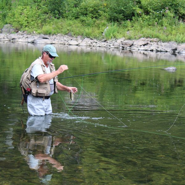 Tangled: Trout unlimited, bass optional