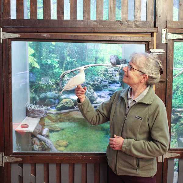 Sharon Audubon Center Director retires
