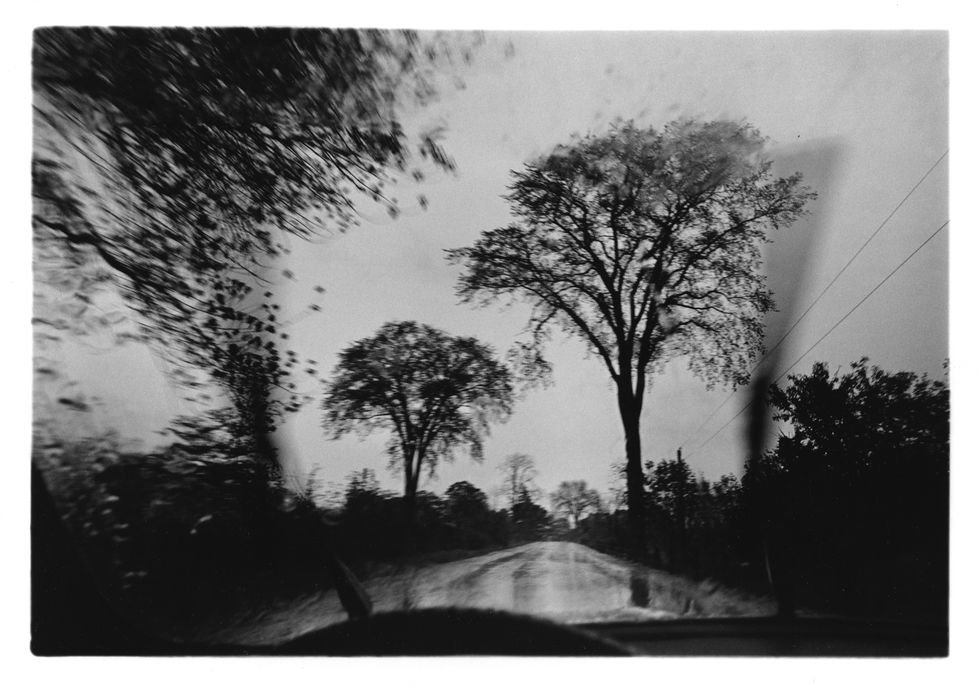 Photographs That Are Lovely, Dark and Deep