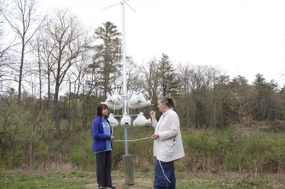 Salisbury student helps on Hotchkiss purple martin project