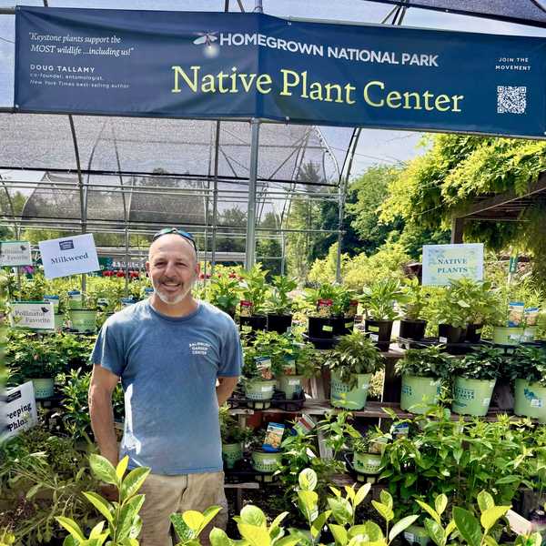 Local garden centers spotlight keystone plants