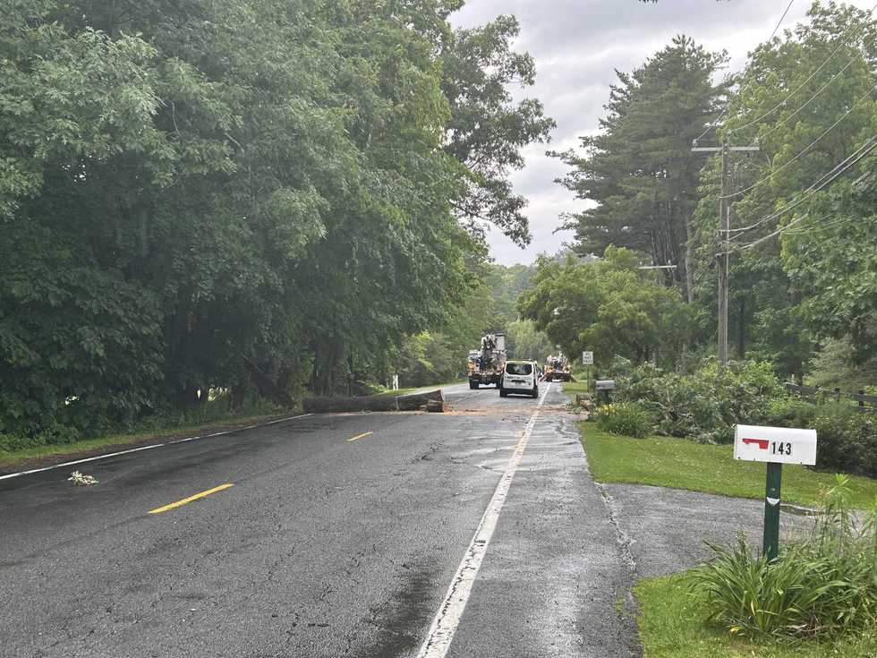 Fallen tree downs power lines, blocks Route 112