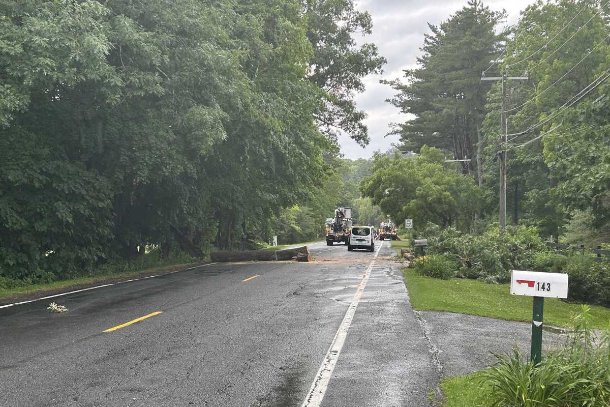 Fallen tree downs power lines, blocks Route 112
