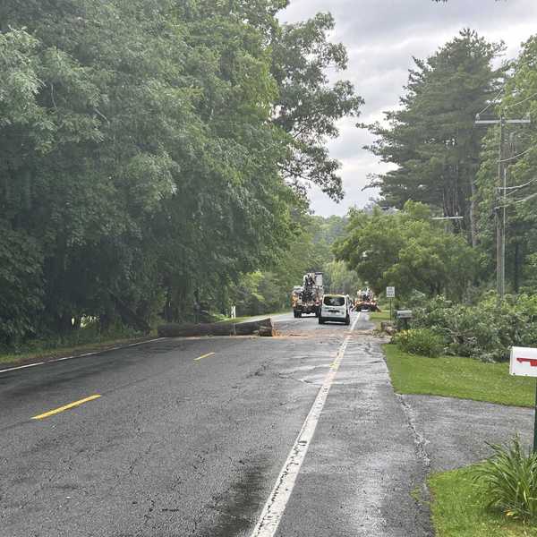 Fallen tree downs power lines, blocks Route 112