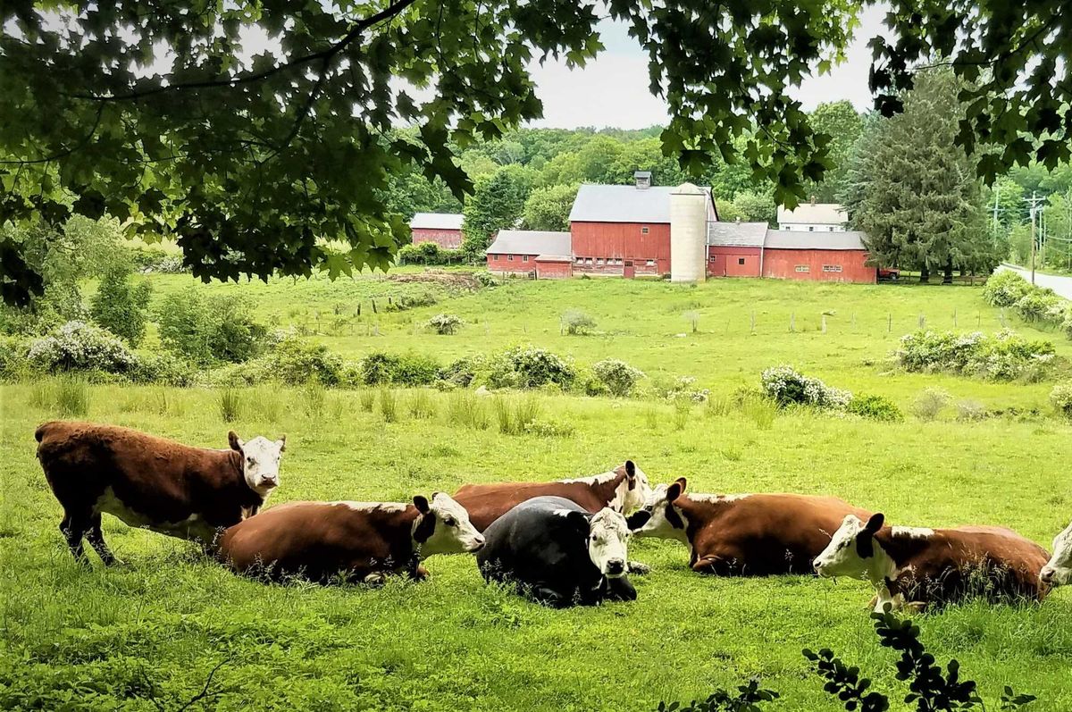 Harding sounds alarm on farm tax hikes; Lamont halts reassessments