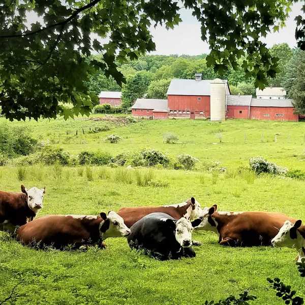 Harding sounds alarm on farm tax hikes; Lamont halts reassessments