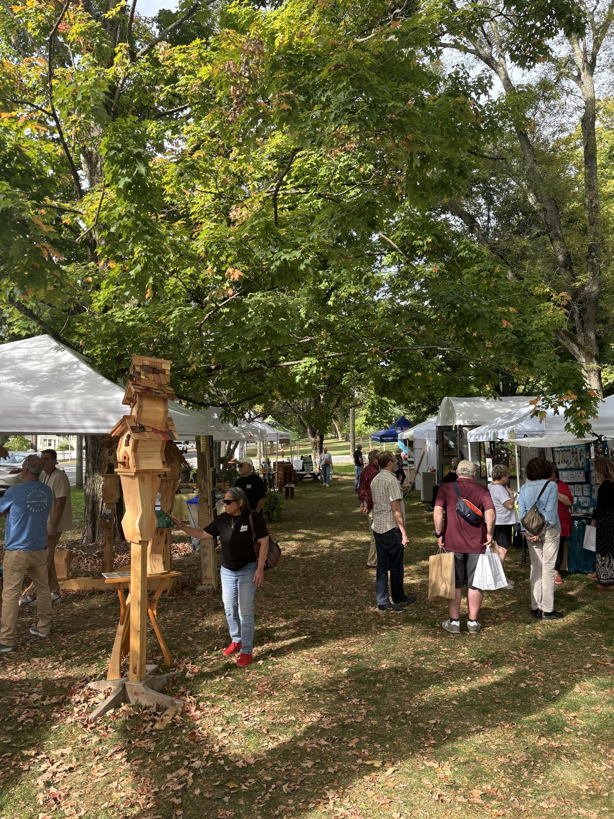 Local artists fill Sharon’s green