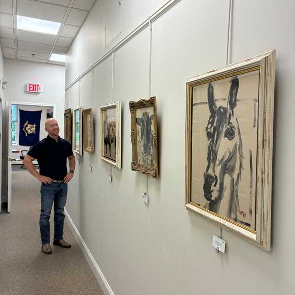 A walk through the art of Sharon