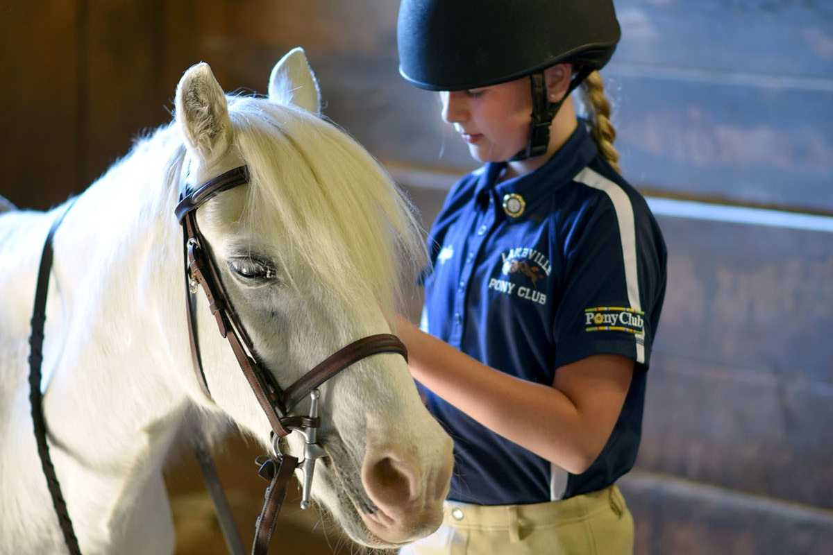 Saddling up for the future: Lakeville Pony Club hosts open house