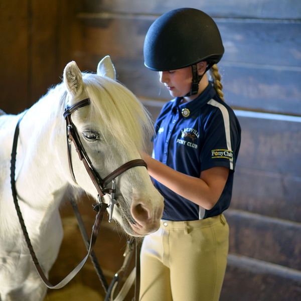 Saddling up for the future: Lakeville Pony Club hosts open house