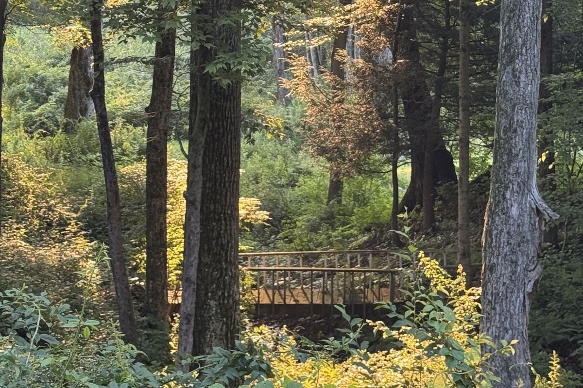 Bridging dreams and deadlines: summer projects on a budget