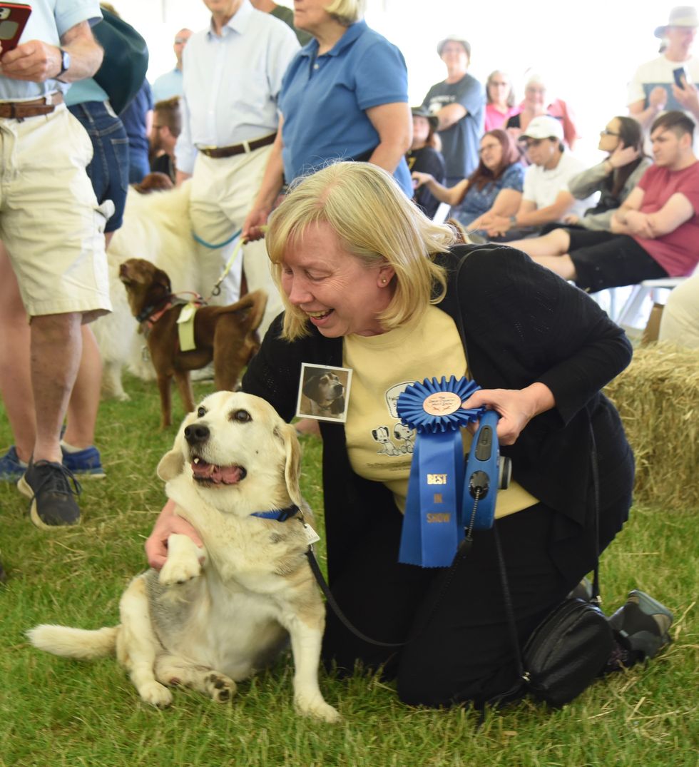 Little Guild’s Great Country Mutt Show unleashes fun for all