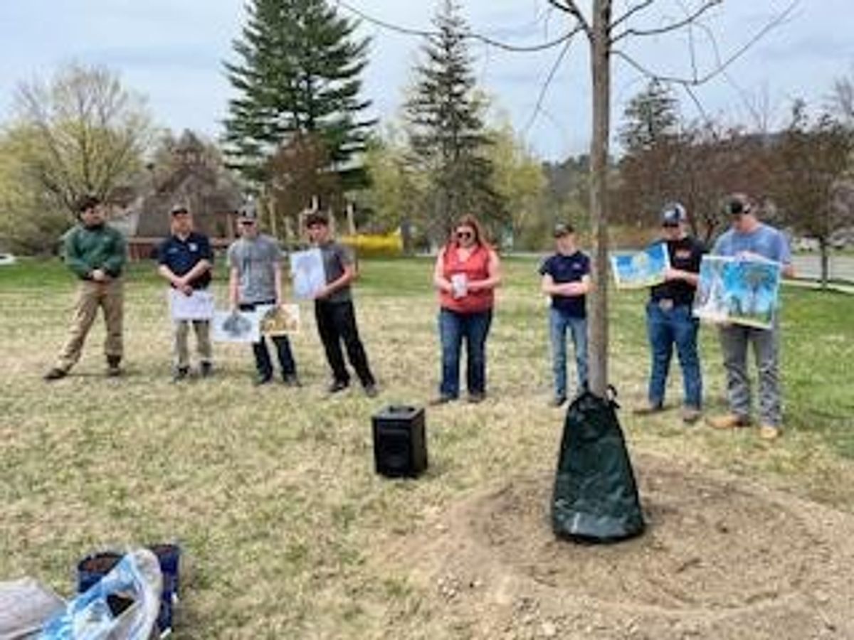 Falls Village plants elm tree for Arbor Day