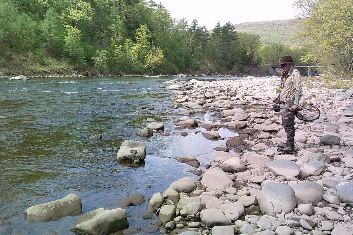 Clay-baked chubs with the private fishing club