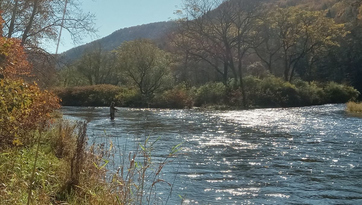 Proclaimed eggs, leaky waders and lost boots