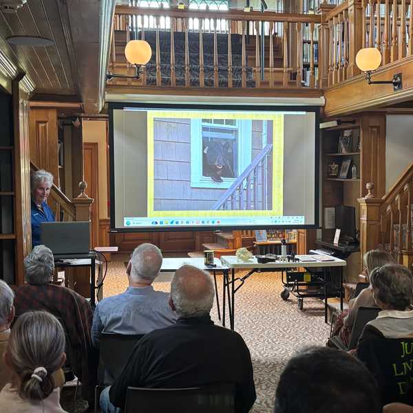 Black bear fears are overblown, expert says at Hotchkiss Library talk in Sharon