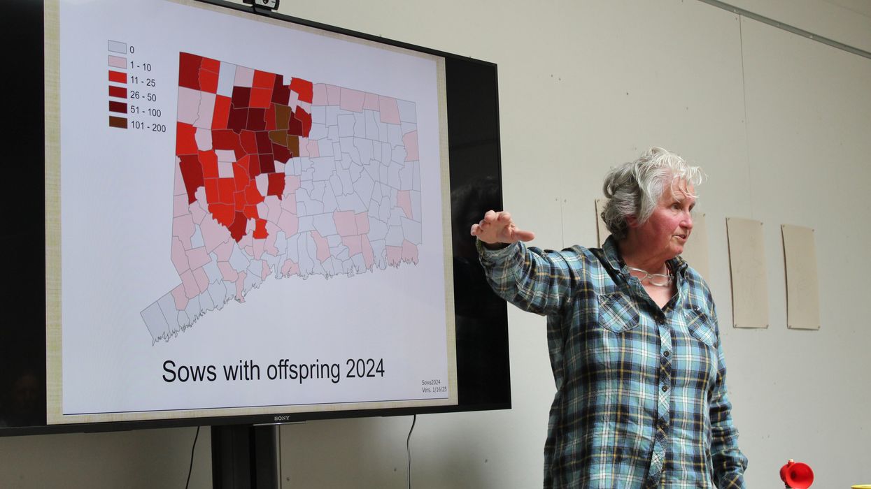 Learning to live alongside bears