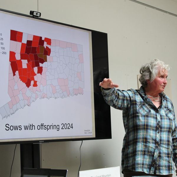 Learning to live alongside bears