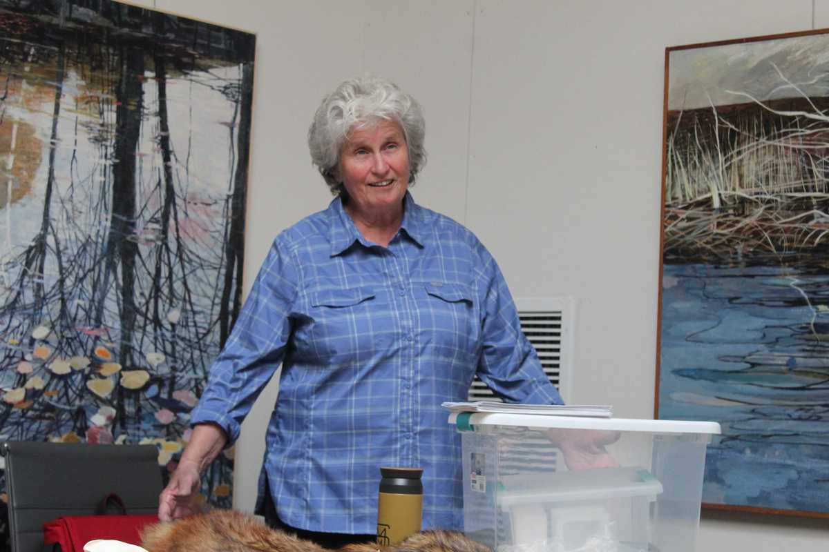 Coexisting with coyotes in Connecticut