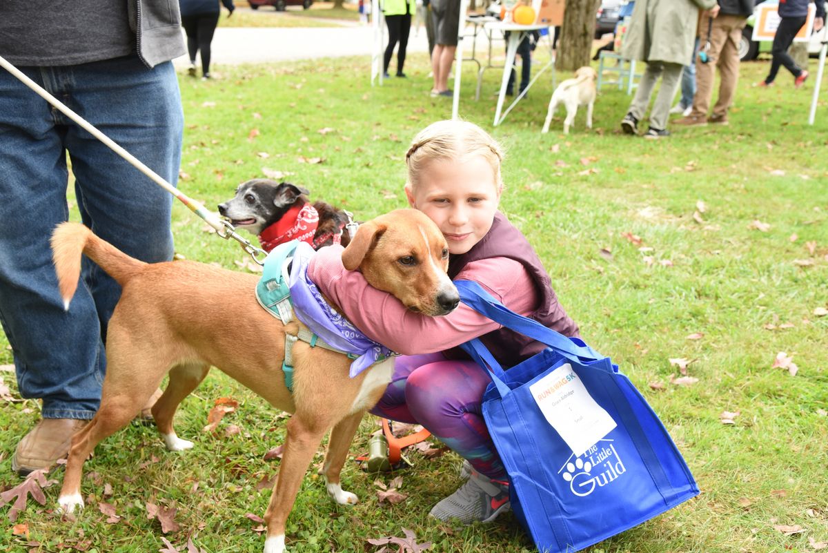 Run & Wag 5K race unites people with pets | The Lakeville Journal